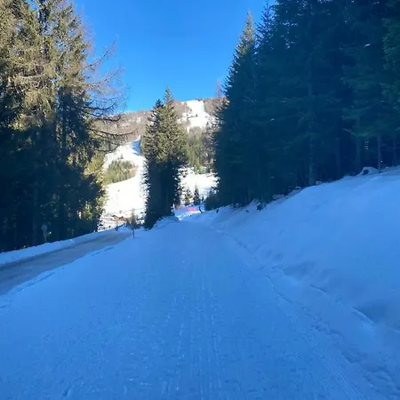 Familienappartment Mit Garten - Gerlitzen Daire *