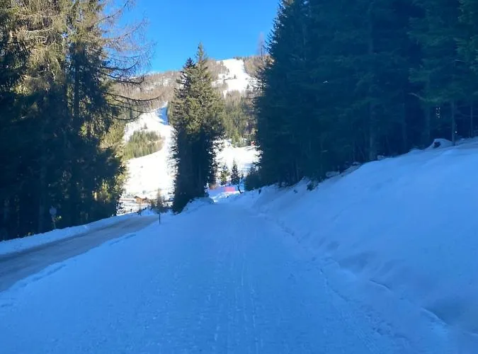 Familienappartment Mit Garten - Gerlitzen דירה *
